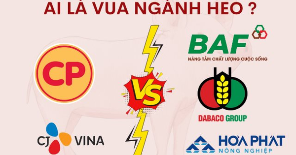Đại chiến ngành heo tỷ đô: CP, CJ đối đầu với tham vọng lớn chưa từng có của Hòa Phát, Dabaco, BAF