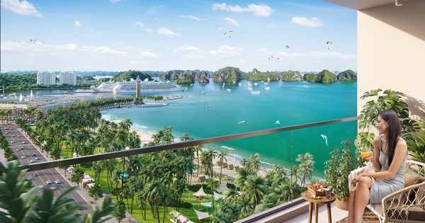 Hưởng lợi kép khi đầu tư căn hộ Sun Group trung tâm Bãi Cháy