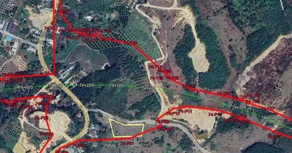 Dự kiến khởi công đường cao tốc Tân Phú - Bảo Lộc trong tháng 12-2025