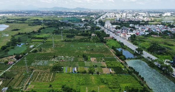 Đề xuất bỏ kế hoạch sử dụng đất 5 năm các thành phố trực thuộc Trung ương