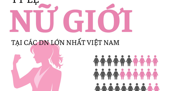 'Đế chế' của ông Phạm Nhật Vượng chỉ có 37,3% nhân sự nữ nhưng các nữ tướng chiếm 59%, ngân hàng là 'thánh địa' của giới nữ ngoại trừ Sacombank