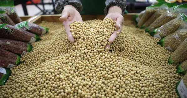 Quốc gia BRICS giáng đòn chưa từng có vào Mỹ, không mua dù chỉ 1 hạt mặt hàng then chốt, nông dân than trời, lặn lội sang tận Campuchia tìm ‘lối thoát’