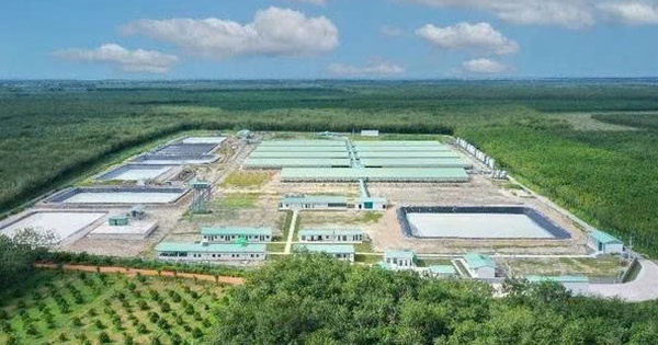 Baf Việt Nam lên kế hoạch phát hành 1.000 tỷ đồng trái phiếu