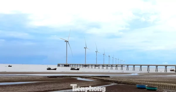 Điều gì đang cản trở thủ phủ điện gió?