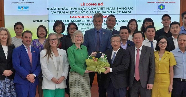 Trái bưởi của Việt Nam chính thức có "visa" vào Úc