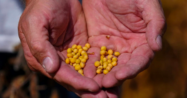 Quốc gia BRICS ra 'đòn' trừng phạt chưa từng có với Mỹ trong 30 năm: Đặt 25 triệu tấn rồi 'quay xe', thương nhân 'kêu trời', nằng nặc muốn nước này lại mua hàng