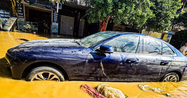 Bồi thường hơn 1.670 tỷ đồng bảo hiểm do thiệt hại bão