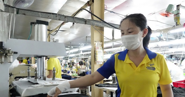 Doanh nghiệp khó khăn được tạm dừng đóng quỹ hưu trí và tử tuất