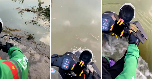 Tứ bề là nước, tài xế vẫn vô tư chở khách "qua sông": Là xe điện đi xa nhất Việt Nam, sản xuất ở TP.HCM