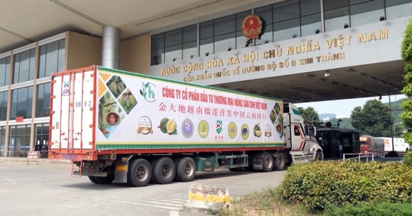 Xuất khẩu Việt Nam lập kỷ lục nhờ một loại quả, Thái Lan tính 'bắt tay': Giấc mơ 10 tỷ USD không còn xa