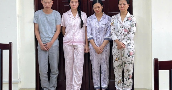 Bắt nữ tổng giám đốc "hô biến" hàng chục tấn thịt trâu Ấn Độ thành bò Nhật Wagyu