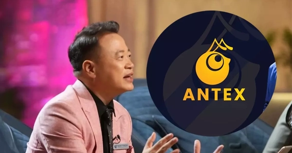 Vụ Shark Bình: AntEx là gì, vì sao nhiều người 'mù quáng' dùng tiền thật mua tiền ảo?