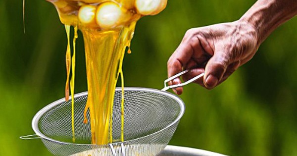 Đặc sản đắt nhất thế giới 40 triệu/kg, Việt Nam có loại thiên nhiên nguyên bản, thơm ngọt chẳng kém cạnh