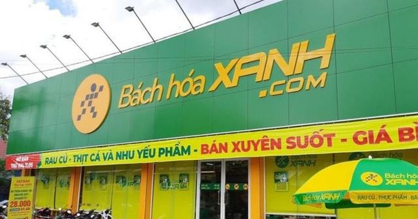 CTCK dự báo MWG lãi 8.500 tỷ năm 2026, kỳ vọng Bách Hóa Xanh tăng tốc mở 6.000 cửa hàng