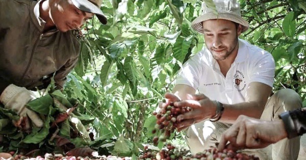 Giá cà phê hôm nay 17-10: Robusta tăng tiếp