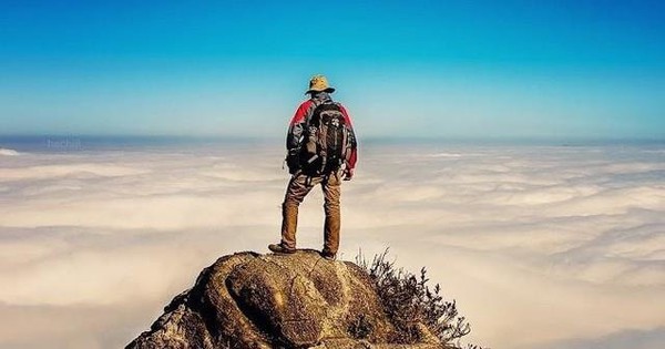 Một cổ phiếu đầu ngành tăng vùn vụt lên đỉnh lịch sử sau khi báo lãi quý 3 kỷ lục