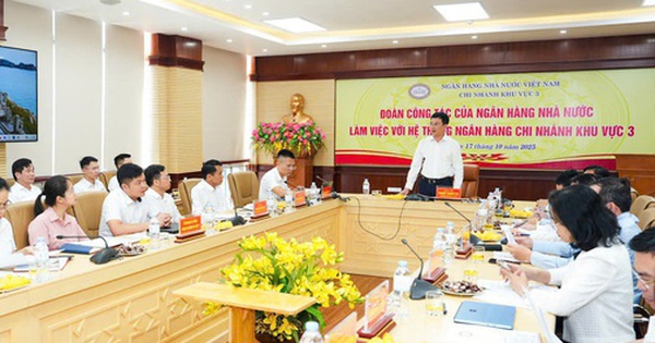 Phó Thống đốc Phạm Thanh Hà làm việc với hệ thống ngân hàng khu vực 3