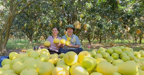 'Đệ nhất danh quả' Hà Tĩnh được chọn trong tiệc cưới Đỗ Thị Hà