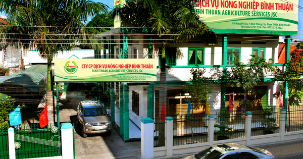 Bitagco báo lỗ sau 9 tháng đầu năm 2025