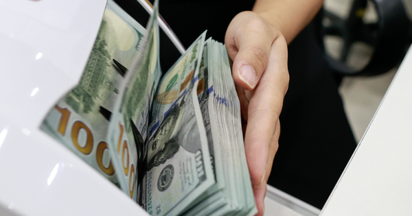 Ngân hàng Nhà nước: Có đối tượng mua ngoại tệ tiền mặt để trục lợi