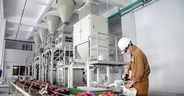 Hóa chất Đức Giang ‘ôm’ hơn 12.700 tỷ đồng tiền gửi ngân hàng, quý III/2025 lãi ròng 804 tỷ đồng