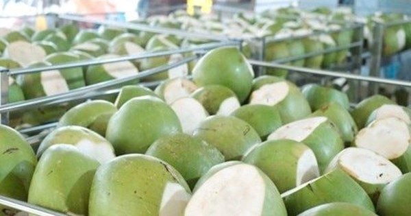 Sau sầu riêng, thêm một 'sản vật' của Việt Nam trở thành đối thủ lớn của Thái Lan: sản lượng hơn 2 triệu tấn/năm, nước ta là ông lớn thứ 7 thế giới