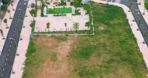 Thị trường đất đấu giá hạ nhiệt sau cơn sốt điên cuồng hơn 1 năm trước
