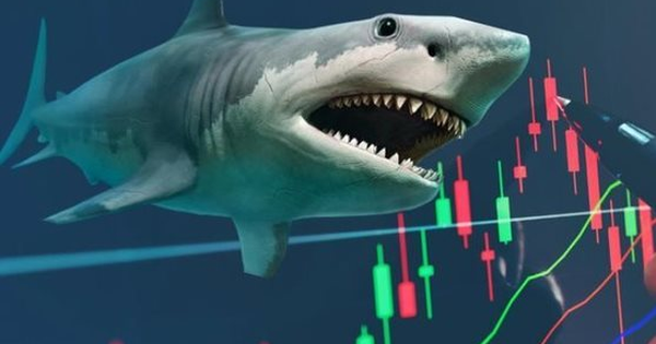 Cổ phiếu FPT và một mã ngân hàng có thể được loạt cá mập tổng quy mô 14.000 tỷ "săn lùng" trong kỳ cơ cấu quý 4
