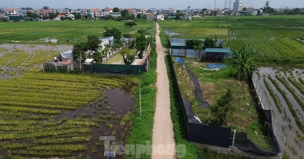 Hà Nội đề xuất tăng giá đất cao nhất 26%: Bảng giá đất mới cần ở mức trung lập