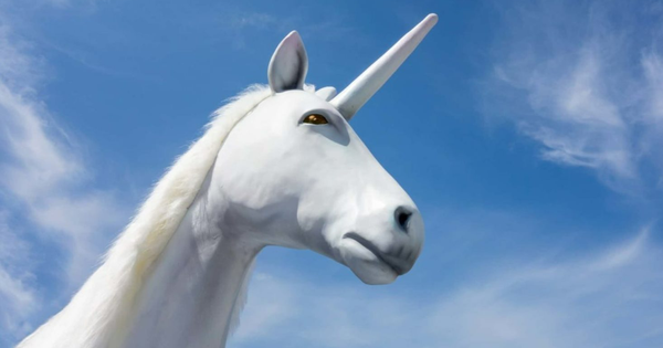 Công ty BĐS Việt Nam 6 năm tuổi muốn IPO, niêm yết sàn Mỹ: Chia nhỏ 50 lần mệnh giá cổ phiếu chỉ còn 200 đồng, gần 50% tổng tài sản bị Kiểm toán nêu ý kiến ngoại trừ