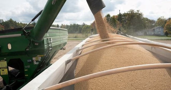 Căng thẳng thương mại tạm lắng, Trung Quốc nối lại nhập khẩu mặt hàng tỷ USD của Mỹ sau hơn nửa năm ‘quay lưng’