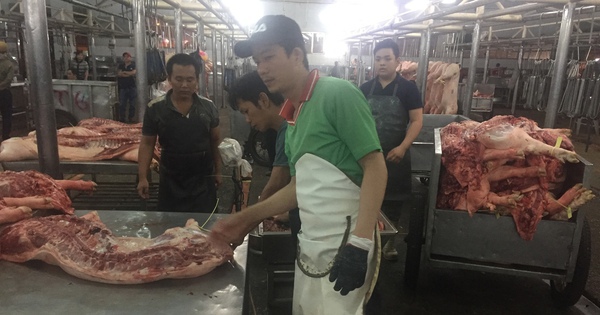 Giá heo hơi hôm nay, 29-10: Bất ngờ với giá thịt heo ở chợ đầu mối