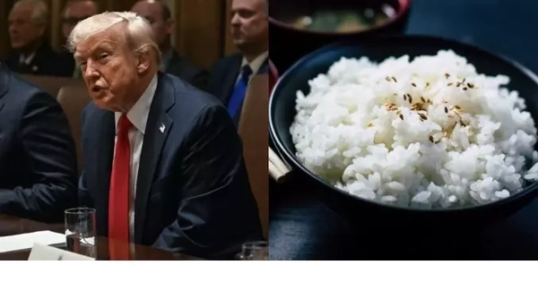 Thông điệp từ bát cơm trong bữa trưa của Tổng thống Mỹ Trump ở Tokyo