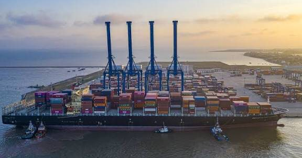 Công ty logistics chi 2.000 tỷ đầu tư chứng khoán, tạm lãi 221 tỷ đồng