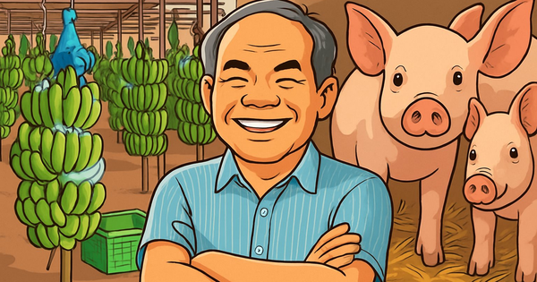 Chân dung 2 DN nghìn tỷ của Hoàng Anh Gia Lai muốn niêm yết năm 2026, 2027: Có công ty được chuyển 300 tỷ tiền nợ thành vốn góp