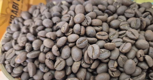 Giá cà phê hôm nay 30-10: Bật tăng cao vút, khắp nơi đua nhau trồng cà phê