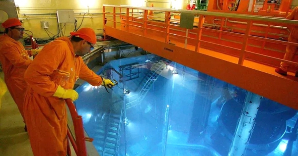 Công nhân rơi xuống khoang nước trong lò hạt nhân, uống phải thứ nguy hiểm: Kết quả đo đáng sợ