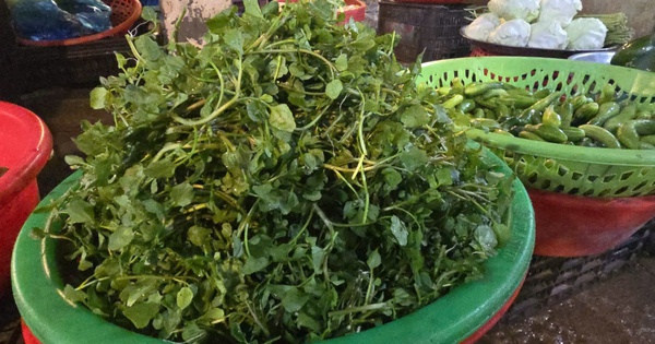 Giá nông thủy sản miền Tây: Rau xanh tăng giá vùn vụt