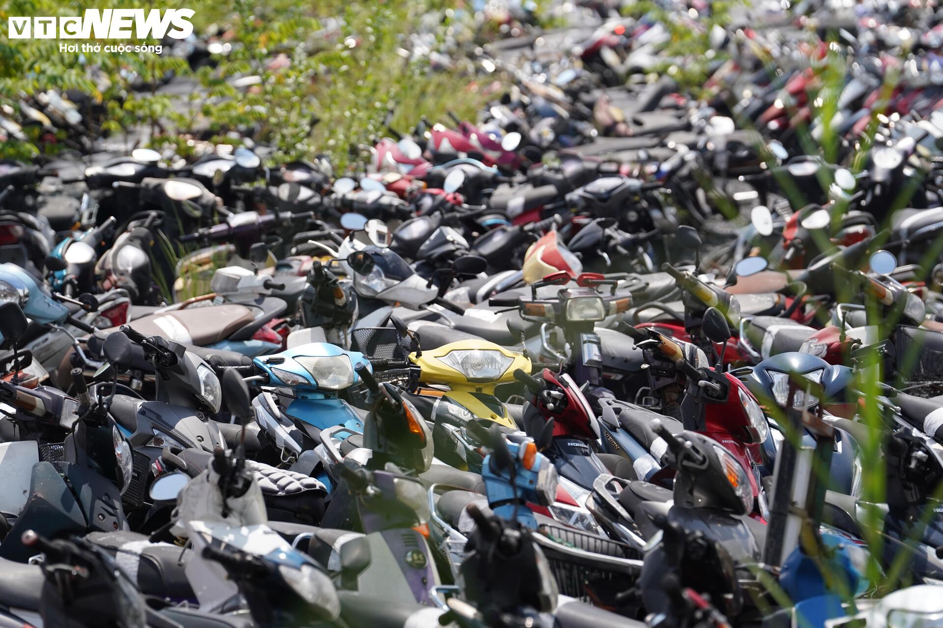 TP.HCM đấu giá thành công hơn 1.600 phương tiện vi phạm, thu hơn 3 tỷ đồng - Ảnh 9