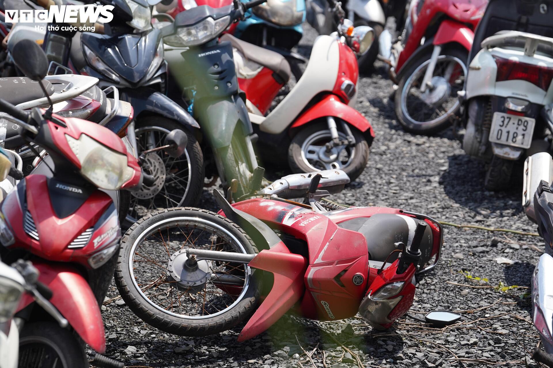 TP.HCM đấu giá thành công hơn 1.600 phương tiện vi phạm, thu hơn 3 tỷ đồng - Ảnh 8