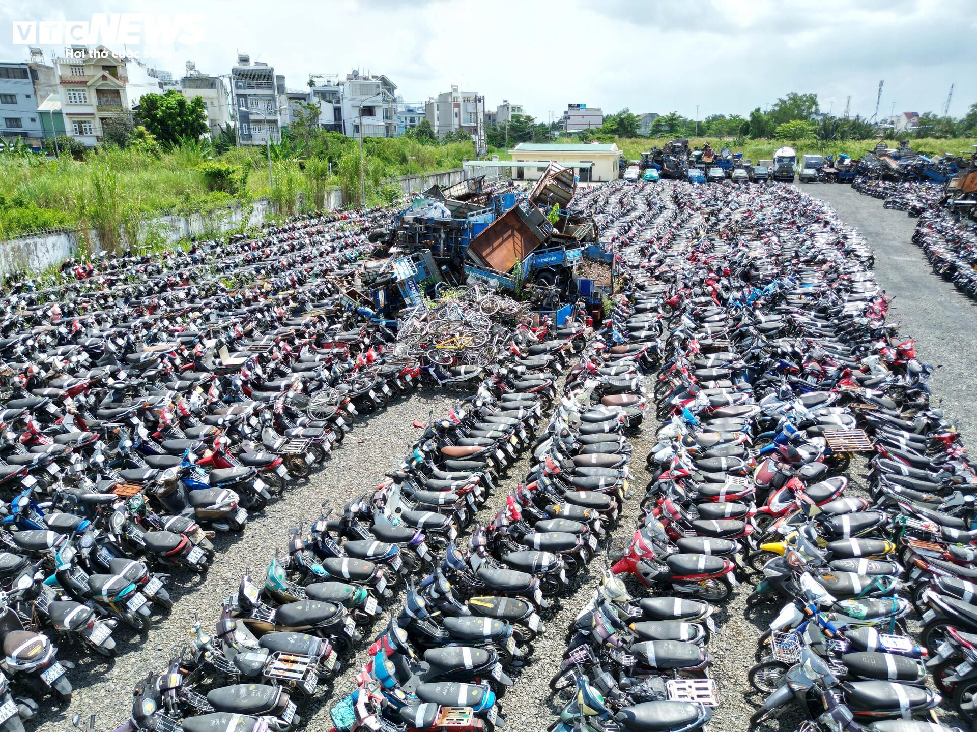 TP.HCM đấu giá thành công hơn 1.600 phương tiện vi phạm, thu hơn 3 tỷ đồng - Ảnh 7