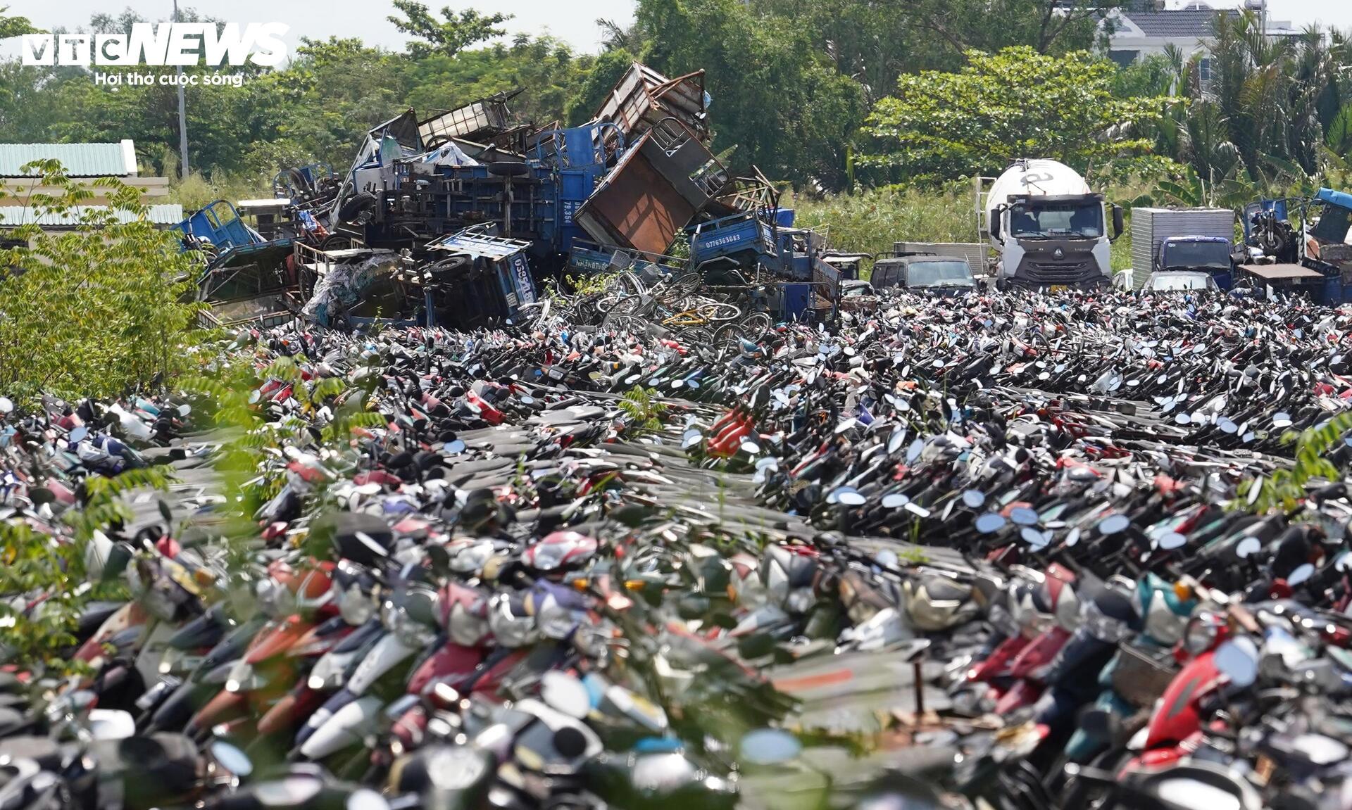 TP.HCM đấu giá thành công hơn 1.600 phương tiện vi phạm, thu hơn 3 tỷ đồng - Ảnh 6