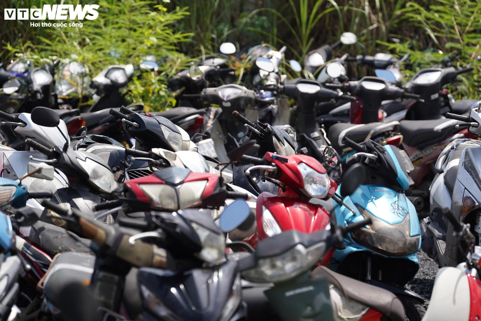 TP.HCM đấu giá thành công hơn 1.600 phương tiện vi phạm, thu hơn 3 tỷ đồng - Ảnh 10