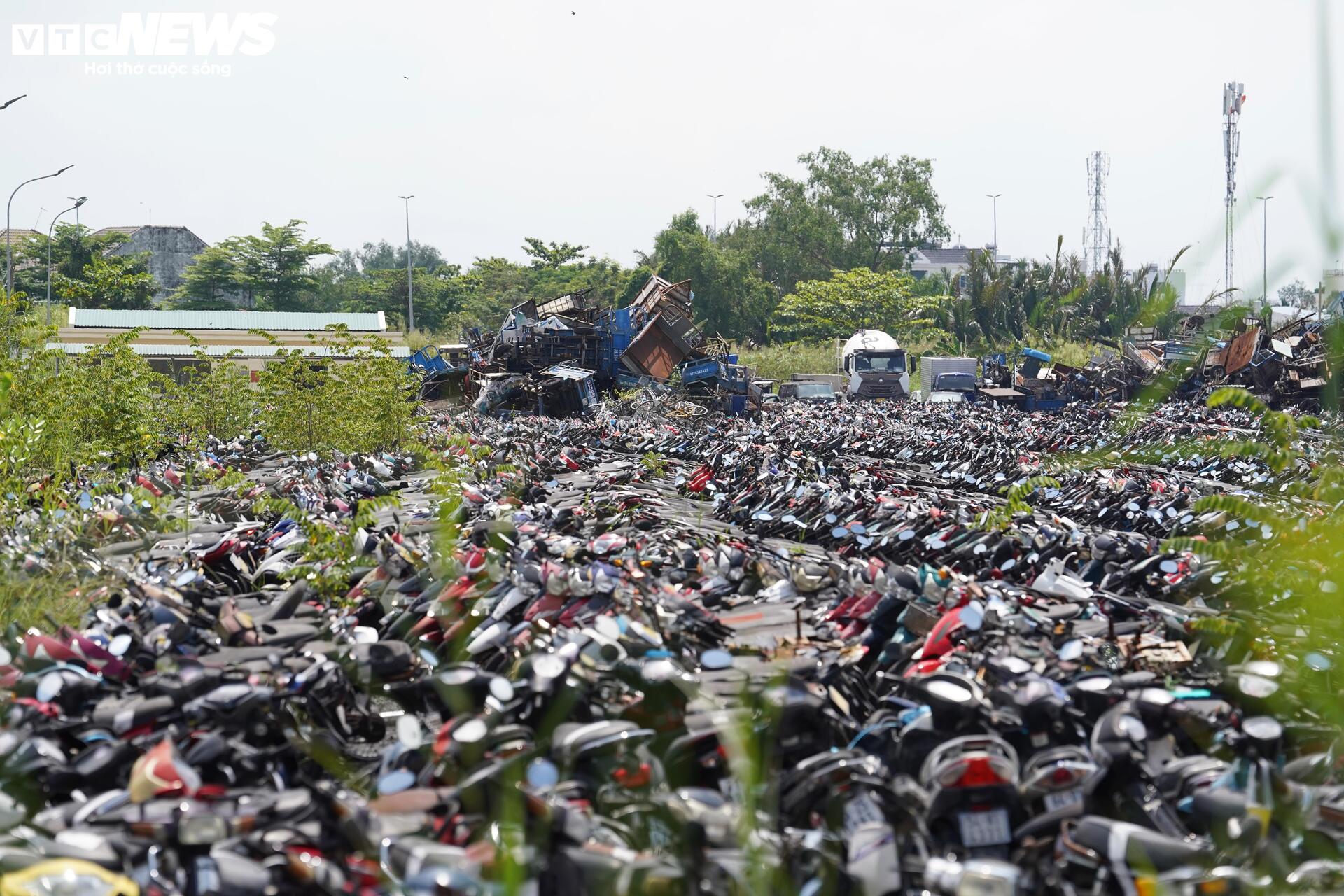 TP.HCM đấu giá thành công hơn 1.600 phương tiện vi phạm, thu hơn 3 tỷ đồng - Ảnh 3