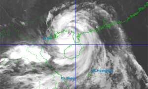 Người Hà Nội tấp nập mua thực phẩm trước khi bão Matmo đổ bộ - Ảnh 12