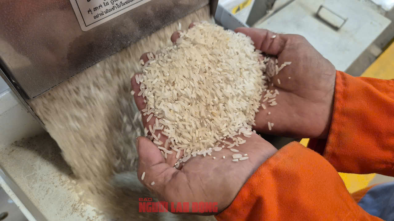 Việt Nam nhập gạo nhiều thứ 2 thế giới - Ảnh 1