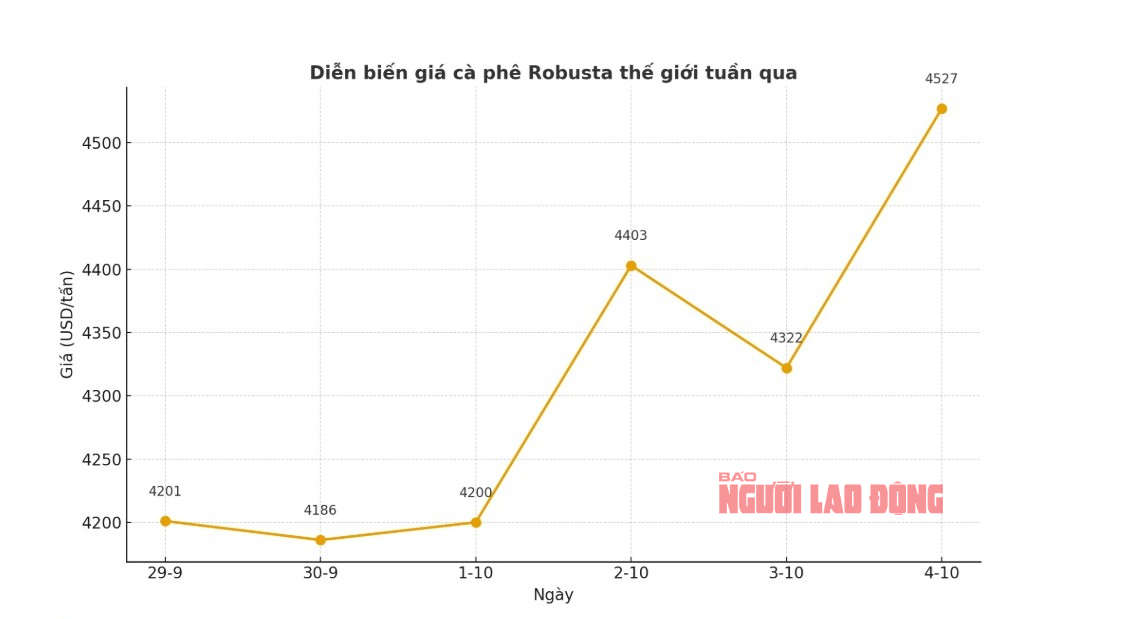 Giá cà phê hôm nay 5-10: Trong nước đang rẻ, Trung Quốc thích nhập cà phê thô - Ảnh 2