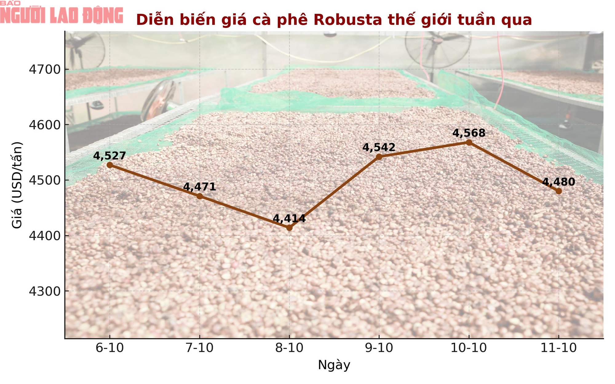 Giá cà phê hôm nay 11-10: Chốt tuần giảm, xuất khẩu cà phê toàn cầu ra sao? - Ảnh 1