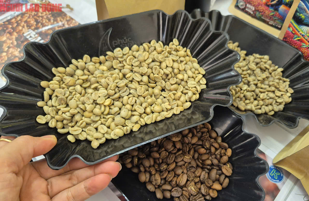Giá cà phê hôm nay 11-10: Chốt tuần giảm, xuất khẩu cà phê toàn cầu ra sao? - Ảnh 2