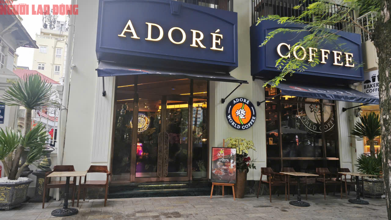 Hơn 50.000 quán cà phê, cửa hàng ăn uống đã đóng cửa: Người trong cuộc nói gì? - Ảnh 3